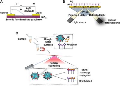 New Age Detection of Viruses: The Nano-Biosensors